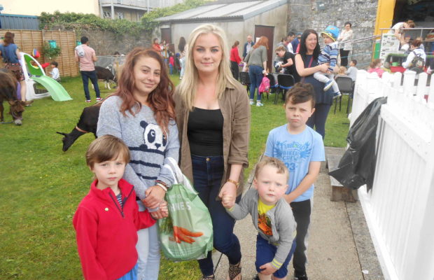 Limerick Social Service Council Ltd Family Fun Day