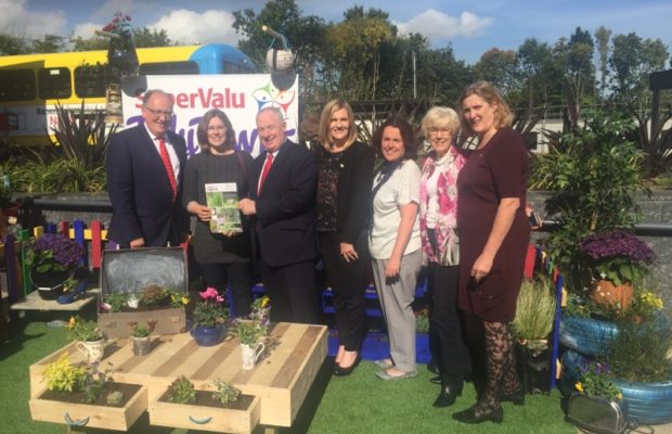 Limerick Tidy Towns Bronze Medal