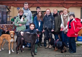 Animal Welfare Store Limerick 2011 (32)