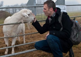 Animal Welfare Store Limerick 2011 (43)