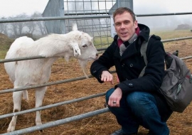 Animal Welfare Store Limerick 2011 (44)