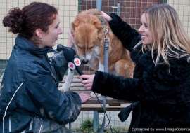 Animal Welfare Store Limerick 2011 (61)