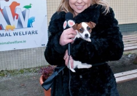 Animal Welfare Store Limerick 2011 (63)