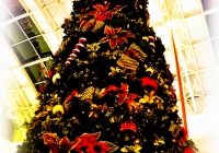 emma-o-driscoll-david-wallace-turn-on-the-cresent-shopping-centre-christmas-lights-2012-i-love-limerick-20