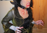 halloween-2012-i-love-limerick-03