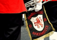 international-band-competition-2013-i-love-limerick-72