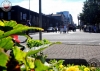 limerick-pride-parade-album-1-145