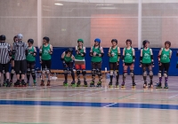 limerick-roller-derby-i-love-limerick-2