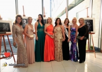 mayors-ball-2013-i-love-limerick-27