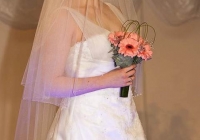 mid-west-bridal-exhibition-limerick-2012-41