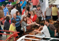 milk-market-limerick-june-2010-100