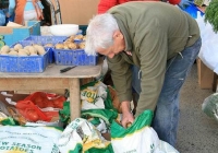 milk-market-limerick-june-2010-34