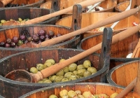 milk-market-limerick-june-2010-47