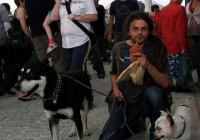 milk-market-limerick-june-2010-52