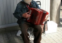 milk-market-limerick-june-2010-53