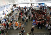 milk-market-limerick-june-2010-55