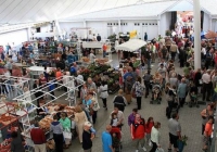 milk-market-limerick-june-2010-56