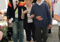 milk-market-limerick-june-2010-83