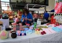 milk-market-limerick-june-2010-92