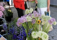 milk-market-limerick-june-2010-95