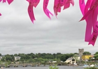 pink-ribbon-walk-killaloe-i-love-limerick-11