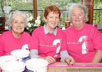 pink-ribbon-walk-killaloe-i-love-limerick-2