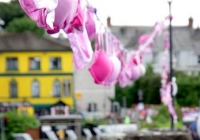 pink-ribbon-walk-killaloe-i-love-limerick-50