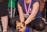 riverfest-dog-show-i-love-limerick-02