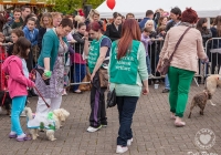 riverfest-dog-show-i-love-limerick-05