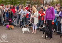 riverfest-dog-show-i-love-limerick-10