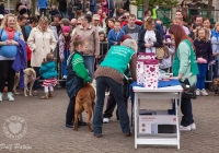 riverfest-dog-show-i-love-limerick-17