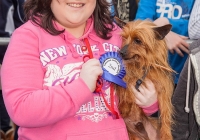 riverfest-dog-show-i-love-limerick-20