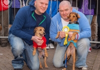 riverfest-dog-show-i-love-limerick-21