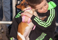 riverfest-dog-show-i-love-limerick-22