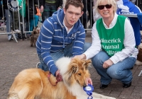 riverfest-dog-show-i-love-limerick-23