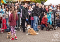 riverfest-dog-show-i-love-limerick-28