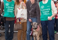 riverfest-dog-show-i-love-limerick-32