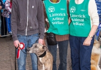 riverfest-dog-show-i-love-limerick-36