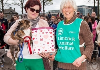 riverfest-dog-show-i-love-limerick-42