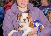 riverfest-dog-show-i-love-limerick-45