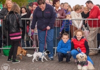 riverfest-dog-show-i-love-limerick-47