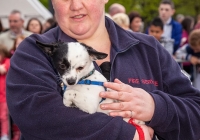riverfest-dog-show-i-love-limerick-50