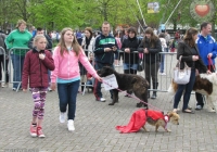 riverfest-sunday-album-i-love-limerick-19