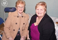 southill-pride-of-place-award-limerick-45