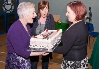 southill-pride-of-place-award-limerick-53