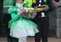 st-patricks-day-adare-2013-10