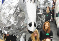 st-patricks-day-limerick-2010-113