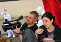 st-patricks-day-limerick-2010-116