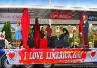 st-patricks-day-limerick-2010-4