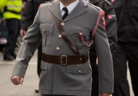 st-patricks-day-limerick-2012-111